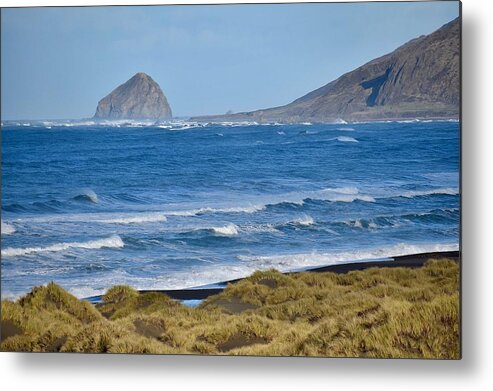 The Lost Coast Metal Print featuring the photograph The Lost Coast #2 by Maria Jansson