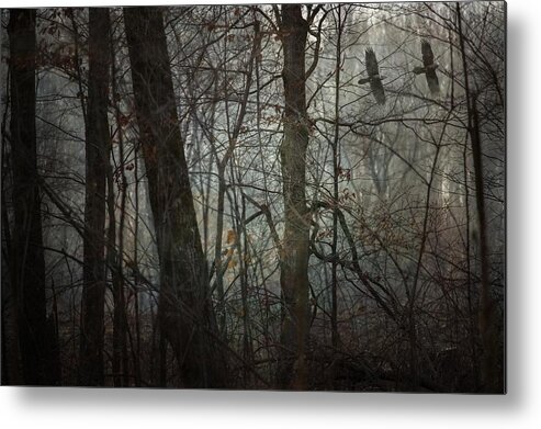 Home Decor Metal Print featuring the photograph A Story Left to Tell by Angie Rea