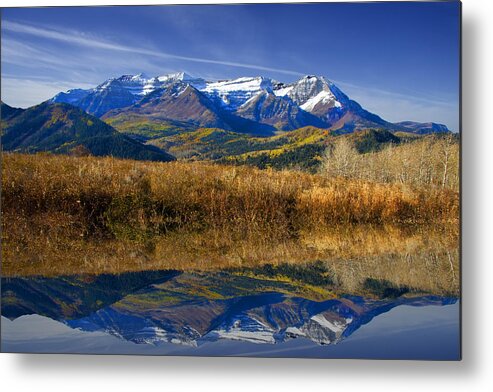 Autumn Metal Print featuring the photograph Fall #21 by Mark Smith