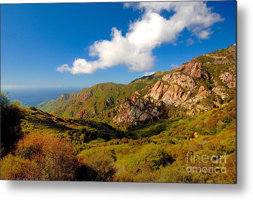 Malibu Metal Print featuring the photograph Malibu #24 by Marc Bittan