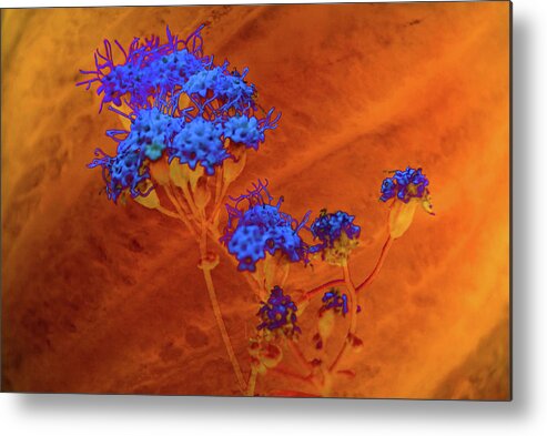 Texture Metal Print featuring the photograph Texture Flowers #25 by Prince Andre Faubert