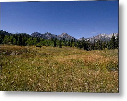 Panoramic Metal Print featuring the photograph Mountain Meadow #26 by Mark Smith