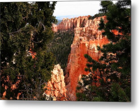 Bryce Canyon National Park Metal Print featuring the photograph Capitol Reef National Park #271 by Mark Smith