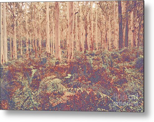 Boranup Forest Metal Print featuring the photograph Boranup Forest II #3 by Cassandra Buckley