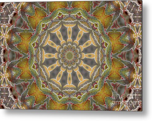Mccombie Metal Print featuring the digital art Frosted Maple Leaf Kaleidoscope #2 by J McCombie