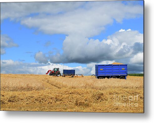 Harvest Metal Print featuring the photograph Harvest time #3 by Joe Cashin