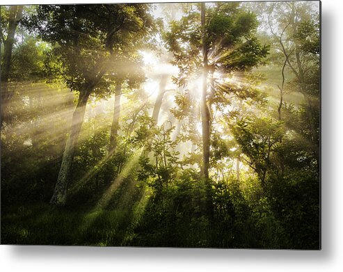 Light Metal Print featuring the photograph Morning Rays #3 by Andrew Soundarajan