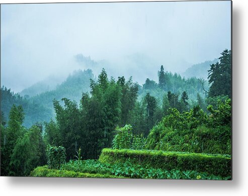 Scenery Metal Print featuring the photograph Mountains scenery in the mist #3 by Carl Ning