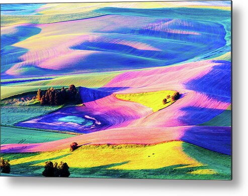 Landscape Metal Print featuring the photograph Rolling wheat field - Palouse #3 by Hisao Mogi