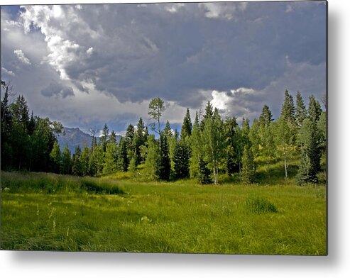 Colors Metal Print featuring the photograph Mountain Meadow #32 by Mark Smith