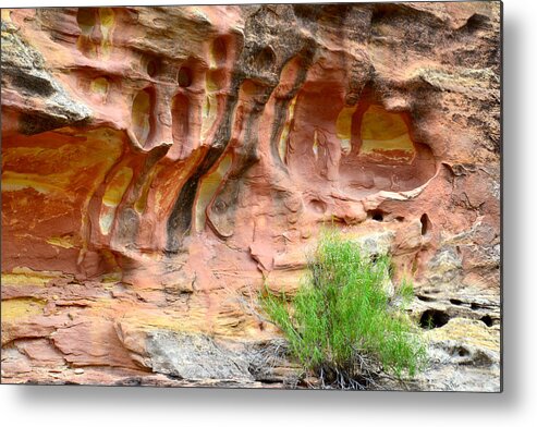 Sandstone Metal Print featuring the photograph Capitol Reef Wall Art #4 by Ray Mathis