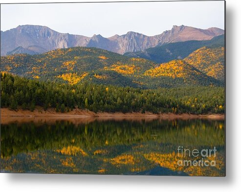 Pikes Peak Metal Print featuring the photograph Autumn Aspen at Crystal Creek Reservoir Pikes Peak #4 by Steven Krull