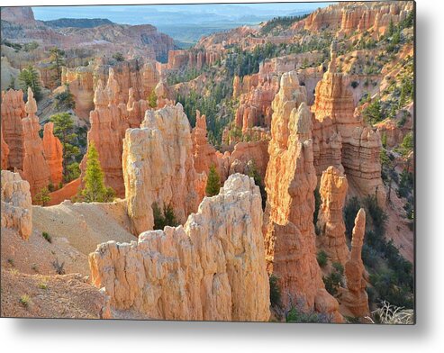 Bryce Canyon National Park Metal Print featuring the photograph Fairyland Canyon #29 by Ray Mathis