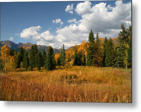 Autumn Metal Print featuring the photograph Fall Colors by Mark Smith