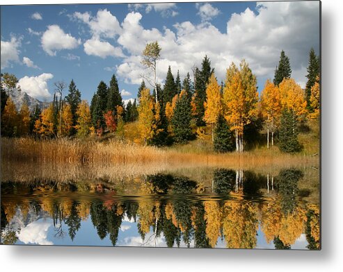 Autumn Metal Print featuring the photograph Fall Refelctions by Mark Smith