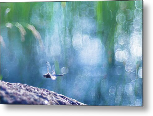 Dragonfly Metal Print featuring the digital art Dragonfly #5 by Super Lovely