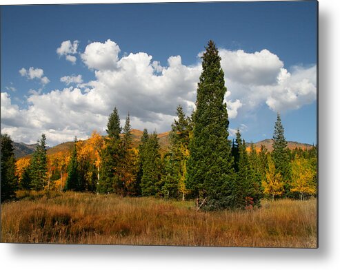 Autumn Metal Print featuring the photograph Fall Colors #5 by Mark Smith
