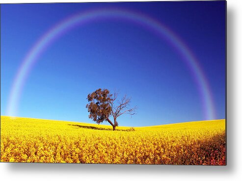 Rainbow Metal Print featuring the digital art Rainbow #5 by Super Lovely