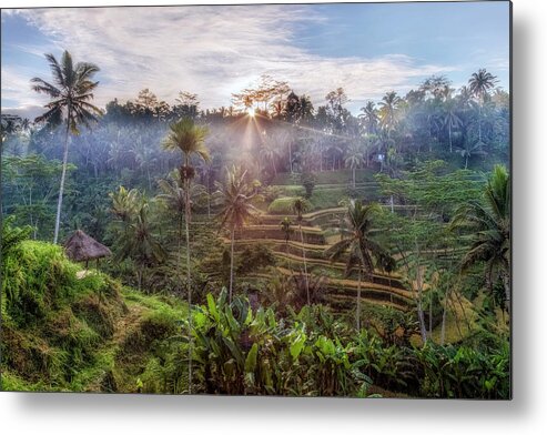 Tegalalang Metal Print featuring the photograph Tegalalang - Bali #5 by Joana Kruse