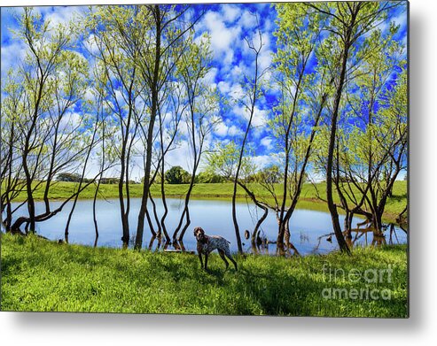Austin Metal Print featuring the photograph Texas Hill Country by Raul Rodriguez
