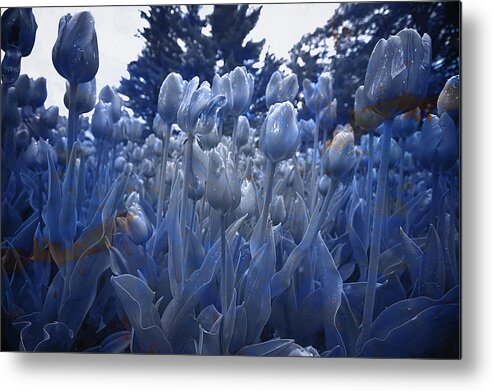 Texture Metal Print featuring the photograph Texture Flowers #5 by Prince Andre Faubert