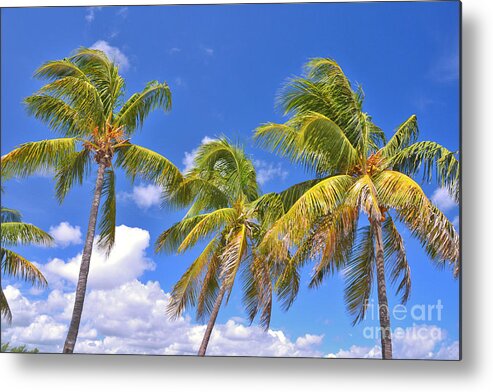 Palm Trees Metal Print featuring the photograph 52- Palms In Paradise by Joseph Keane
