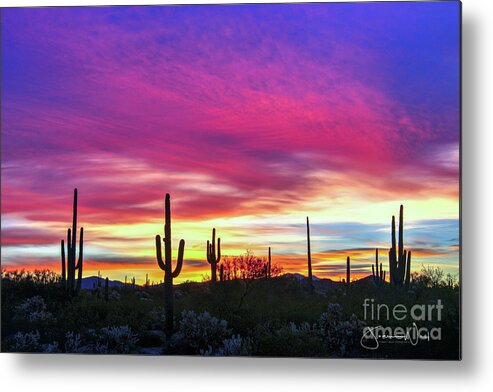 Sunrise Metal Print featuring the photograph 57th Birthday Sunrise by Joanne West