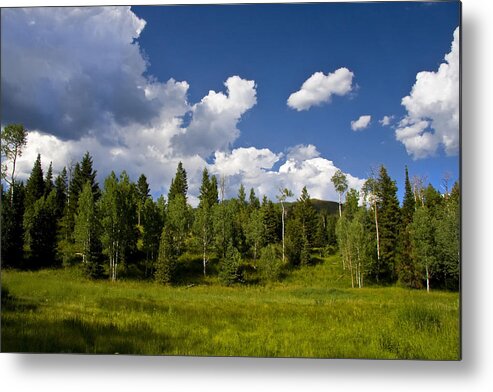 Colors Metal Print featuring the photograph Rocky Mountains #6 by Mark Smith