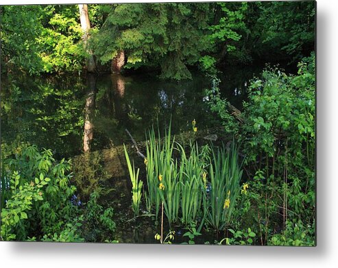 Reflection Metal Print featuring the photograph Reflection #61 by Jackie Russo