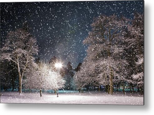 Winter Metal Print featuring the photograph Winter #63 by Jackie Russo