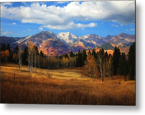 Autumn Metal Print featuring the photograph Rocky Mountain Fall #69 by Mark Smith