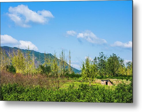 Countryside Metal Print featuring the photograph Countryside scenery in autumn #7 by Carl Ning