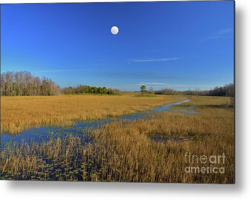 Everglades Metal Print featuring the photograph 7- Everglades Moon by Joseph Keane