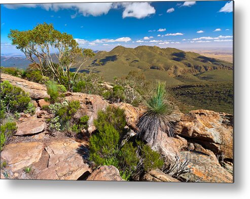 Wilpena Pound Flinders Ranges Outback Landscape Landscapes South Australia Australian Gum Trees Mountains Rock Outcrop Metal Print featuring the photograph Wilpena Pound #7 by Bill Robinson