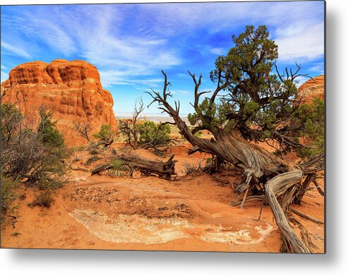 Arches National Park Metal Print featuring the photograph Arches National Park by Raul Rodriguez