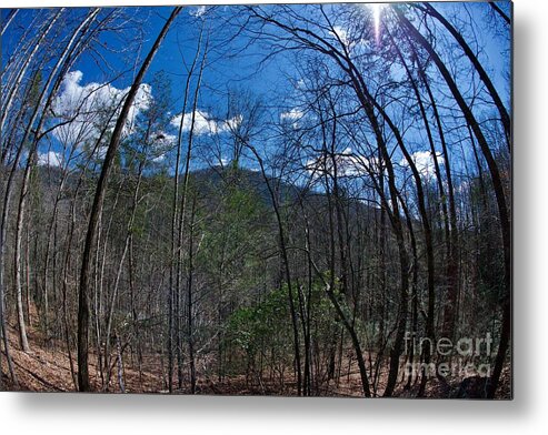 Lake Lure Metal Print featuring the photograph Lake Lure #8 by Buddy Morrison