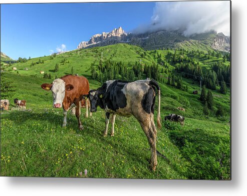 Passo Di Sella Metal Print featuring the photograph Passo di Sella - Dolomiti #8 by Joana Kruse