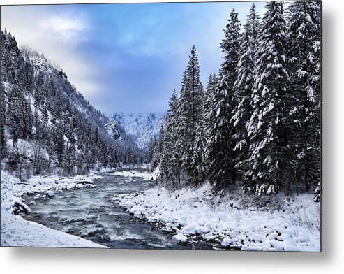A Cold Winter Day Metal Print featuring the photograph A cold winter day by Lynn Hopwood