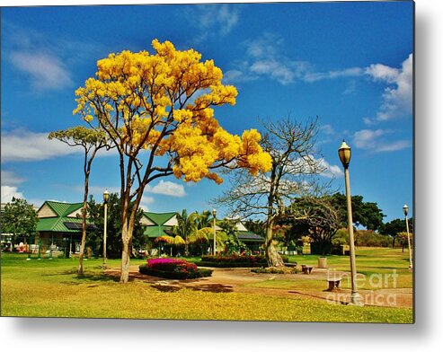 Kapolei Community Park Metal Print featuring the photograph A Day at the Park by Craig Wood