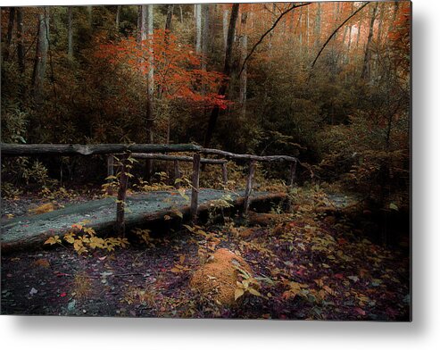 Nature Trail Bridge Metal Print featuring the photograph A Day Hiking by Mike Eingle