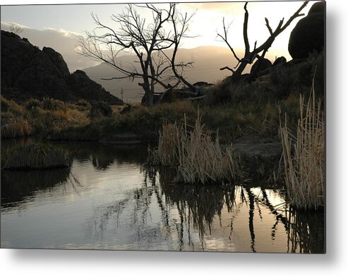 Landscape Metal Print featuring the photograph A Days End by Lori Mellen-Pagliaro