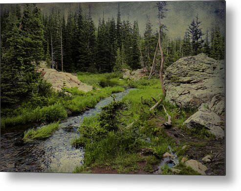 Landscape Metal Print featuring the photograph A Forest of the Rockies by Scott Kingery