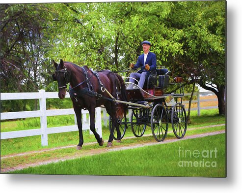 Horse Metal Print featuring the photograph A Gentleman's Sunday Ride by Sharon McConnell