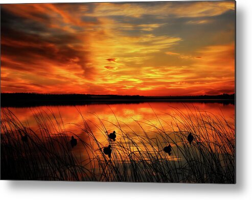 Hunt Metal Print featuring the photograph A Golden Sunrise Duck Hunt by Dale Kauzlaric