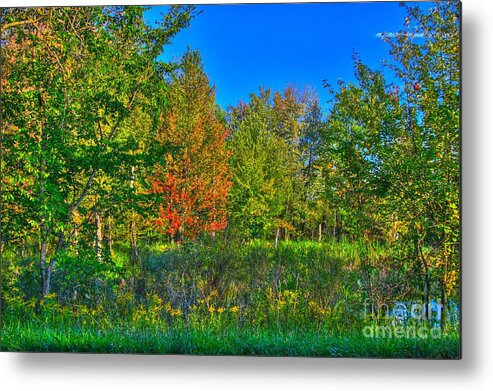 Related Tags: Metal Print featuring the photograph A hint off fall by Robert Pearson