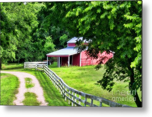 Shed Metal Print featuring the photograph A Little Bit Country by Joan Bertucci