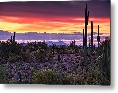 Saguaro Sunrise Metal Print featuring the photograph A Magical Desert Morning by Saija Lehtonen