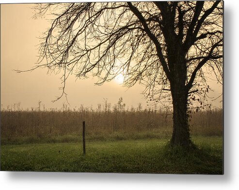 Appalachia Metal Print featuring the photograph A Morning Glow by Lana Trussell