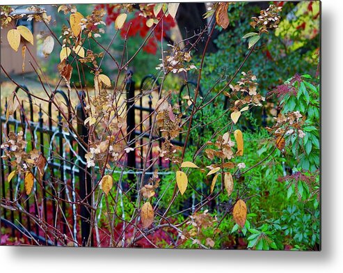 Gardens Metal Print featuring the photograph A Paradise Garden by Ira Shander