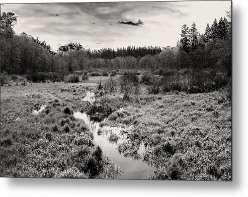 Calm Metal Print featuring the photograph A Place To Think Part 1 by Monte Arnold